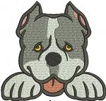Peeking Pitbull Machine Embroidery Design 