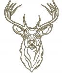 Whitetail Buck Deer Head Machine Embroidery Design17012026