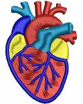 Anatomical Heart Machine Embroidery Design, Realistic Heart Cap and Hat Embroidery File, Medical Biology Embroidery Digital Design  