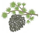 Pine Branch and Cone Machine Embroidery Design 