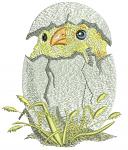 Charming Easter Chick Hatching Machine Embroidery Design 