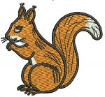 Squirrel Machine Embroidery Designs 