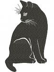 Black Cat Machine Embroidery Design