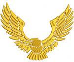 Eagle. Machine Embroidery Design, Instant Download  