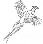 Flying Pheasant Line Art Machine Embroidery Design 