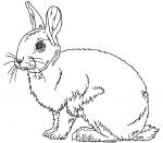 Rabbit embroidery, low stitch count design  