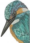 Kingfisher Halcyon Machine Embroidery Design, Blue Bird Portrait Digital File 12102026