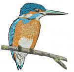  Kingfisher. Large Machine Embroidery Design, Instant Download 