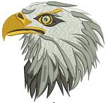 american bald eagle Machine Embroidery Design 14052025
