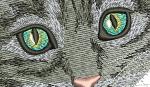 Cat for the pocket machine embroidery design 