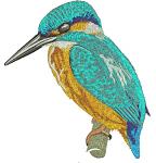 Kingfisher Machine Embroidery Design  