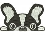 Peeking French Bull Dog on pocket   Machine Embroidery Designs, instantly download 