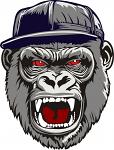 Angry gorilla  in a cap  SVG. dxf, PNG. EPS. jpg big size , instantly download 