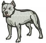 Pitbull machine embroidery design  