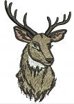 Whitetail Buck Deer Head Machine Embroidery Design 