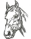 Horse Head Machine Embroidery Design06122025