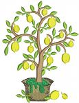 Lemon Tree and Fruits Machine Embroidery Design 