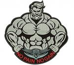 Bodybuilder Applique No Pain No Gain Machine Embroidery Design