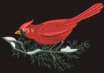 Red cardinal bird on snowy pine branch machine embroidery design 