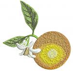 orange embroidery - Machine Embroidery Design1505205