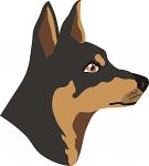 Australian working kelpie  SVG. dxf, PNG. EPS. jpg big size 300 dpi 