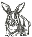 Rabbit Machine Embroidery Design Low Stitch Count 