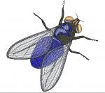 realistic  fly Machine Embroidery Designs 14052025