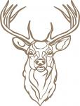 Buck Head Deer  SVG. dxf, PNG. EPS. jpg big size 300 dpi files17012026