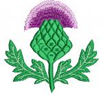 Thistle emblem of Scotland machine embroidery design/ letters not included 