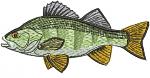 Perch Bass Fish Machine Embroidery Designs 