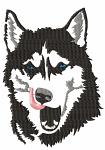 Noble Husky Head Portrait Machine Embroidery Design 
