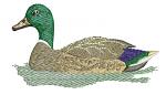 Mallard Duck Machine Embroidery Design, Swimming Waterfowl Digital File 