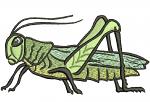 Realistic Grasshopper, Grasshopper Embroidered Iron on Patch. Machine Embroidery Design, Instant Download  