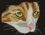 Cat  Machine Embroidery Designs - tested 