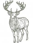 Deer Machine Embroidery Design26052025