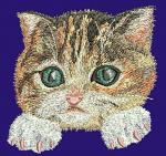 Cat for pocket machine embroidery design