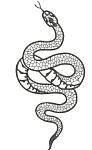 Snake Machine Embroidery Design, Realistic Serpent, Coiled Snake, 4 Sizes 