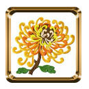 Chinese chrysanthemum Machine Embroidery Designs set