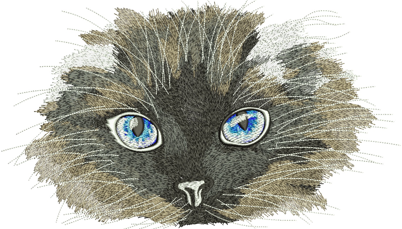 Cat with blue eyes Machine Embroidery Designs, tested