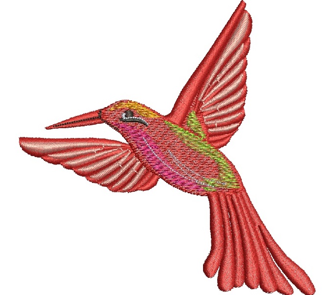 hummingbird colibri  Machine Embroidery Design 