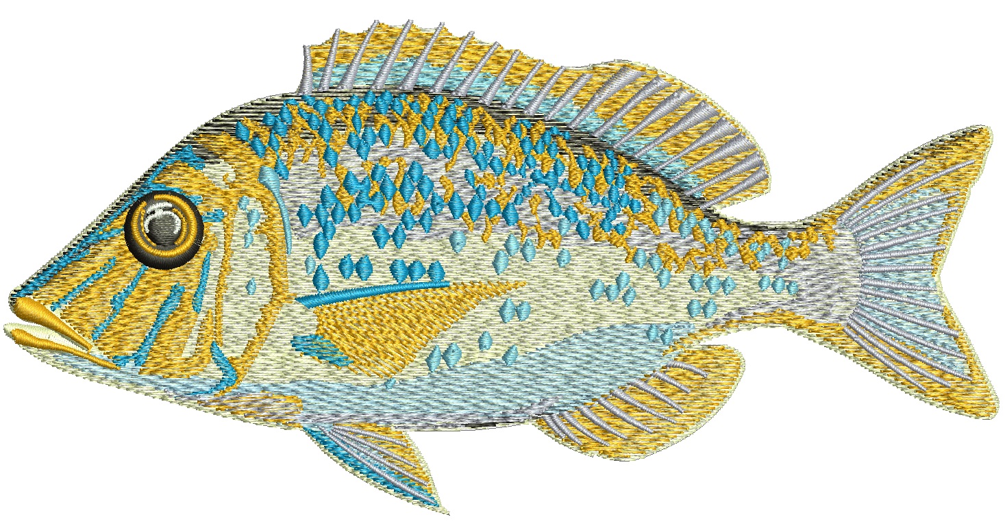Spangled emperor fish Embroidery Design  Instant Download Digital File - Machine Embroidery