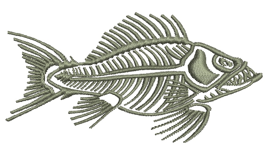 Fish skeleton machine embroidery design, instantly download 4sizes 