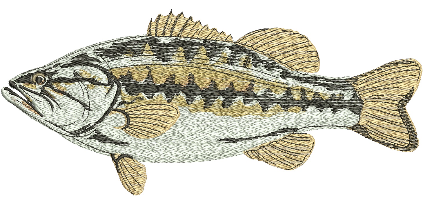 Largemouth Bass ( Micropterus salmoides ) Machine Embroidery Design ? Instant Download Digital File  
