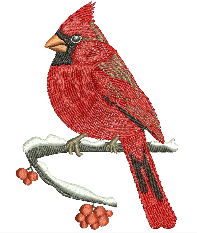 Red cardinal bird  Machine Embroidery Design  