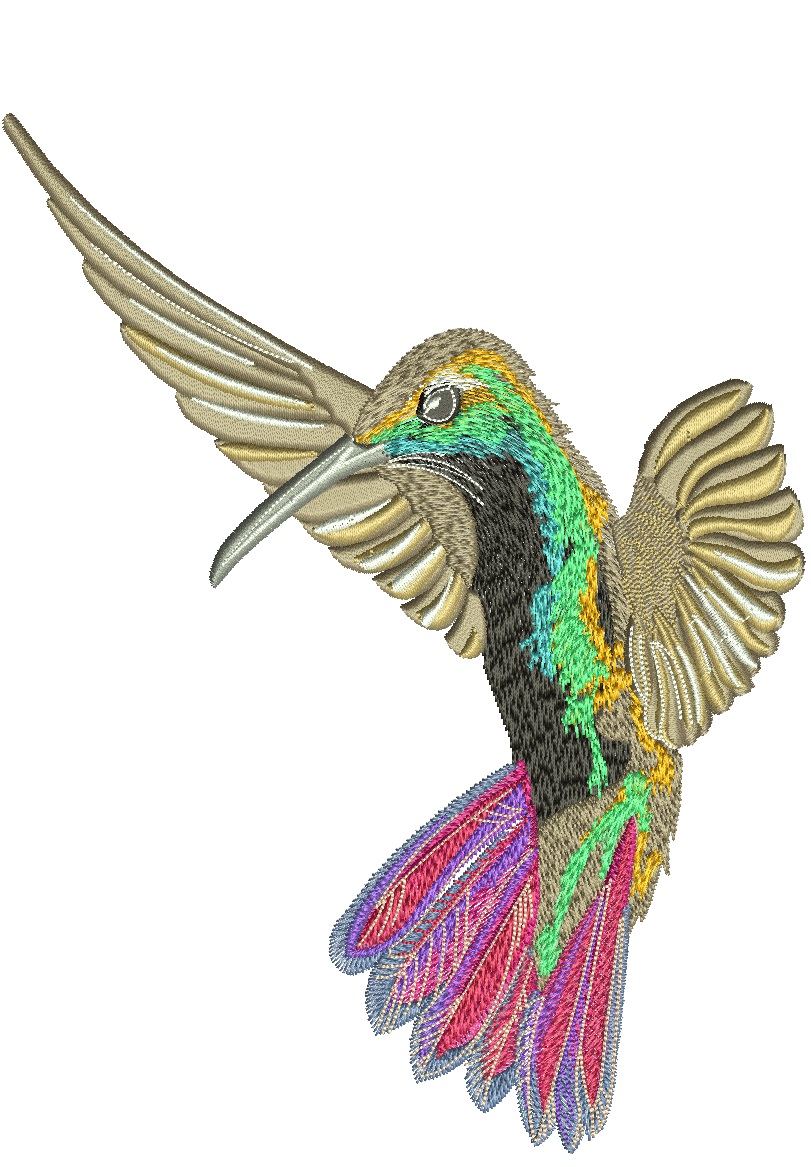 Colibri  hummingbird machine embroidery design tested04062025