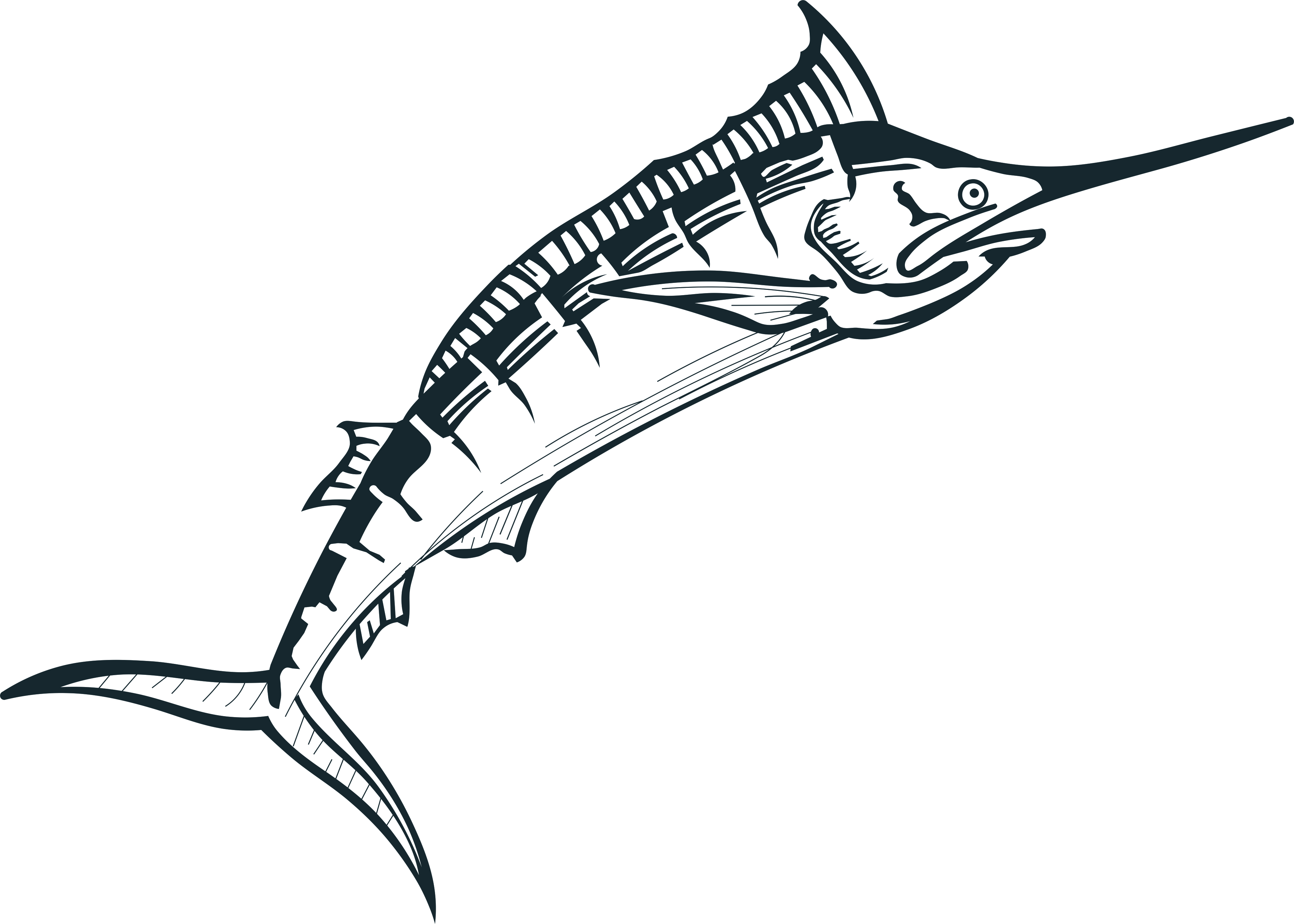 marlin  SVG. dxf, PNG. EPS. jpg big size  