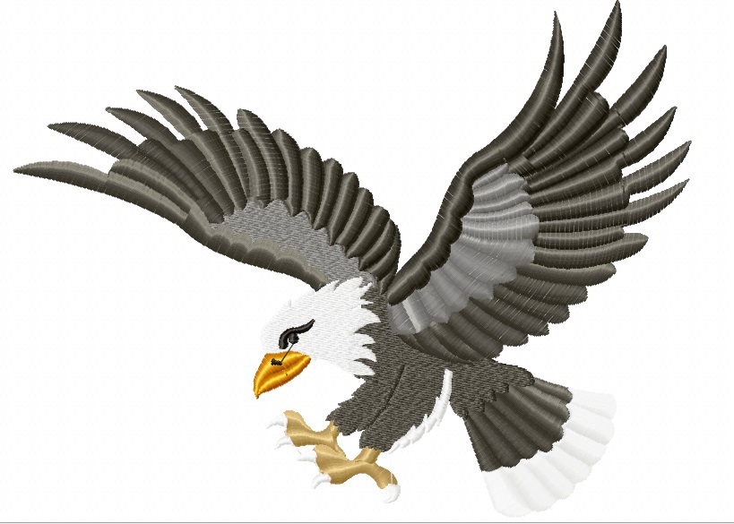  Flying Eagle Machine Embroidery Design 