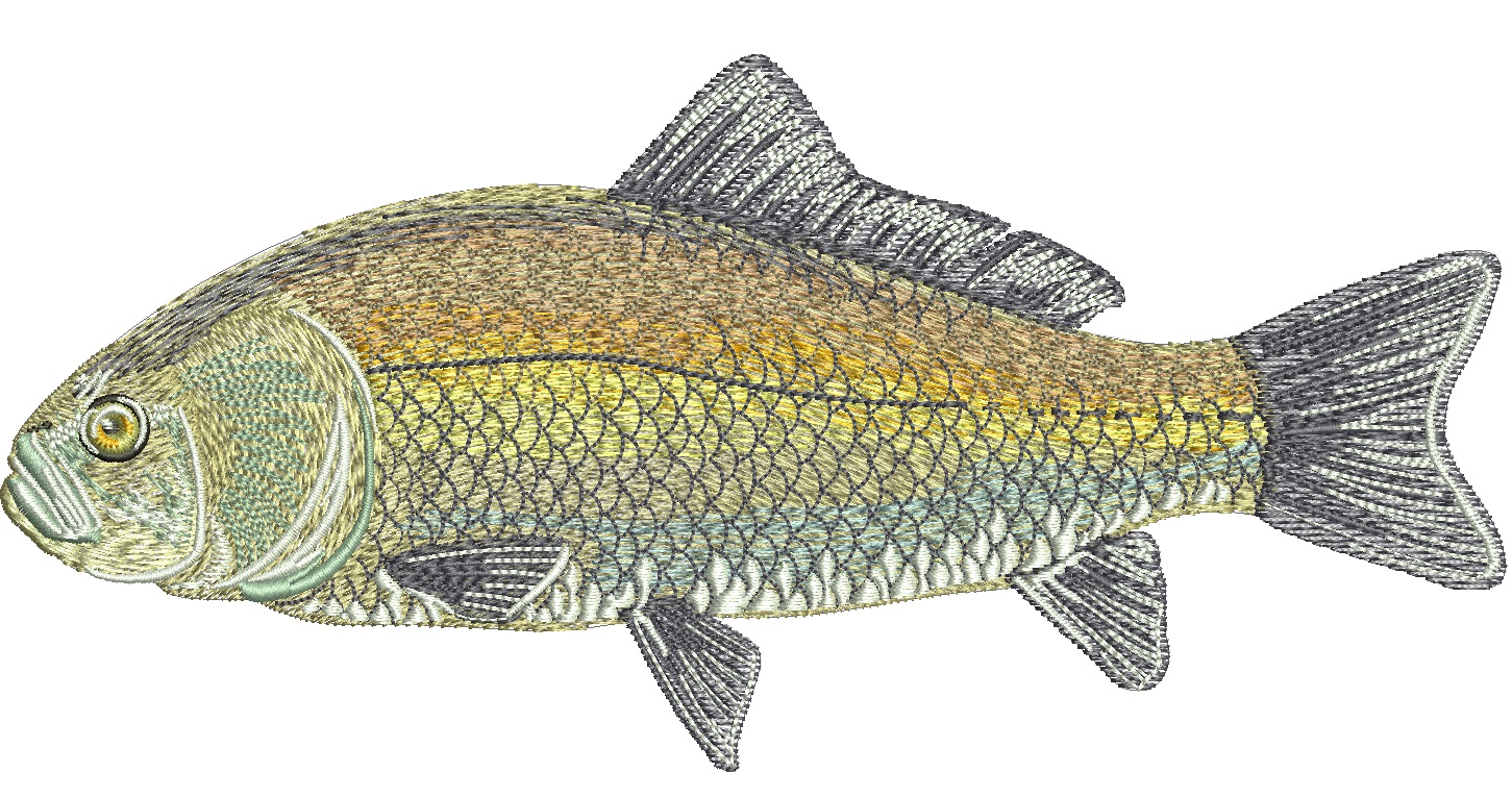 Bigmouth Buffalo Fisherman Machine Embroidery Design 