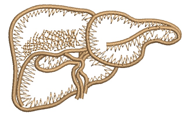 Human Liver Machine Embroidery Designs 