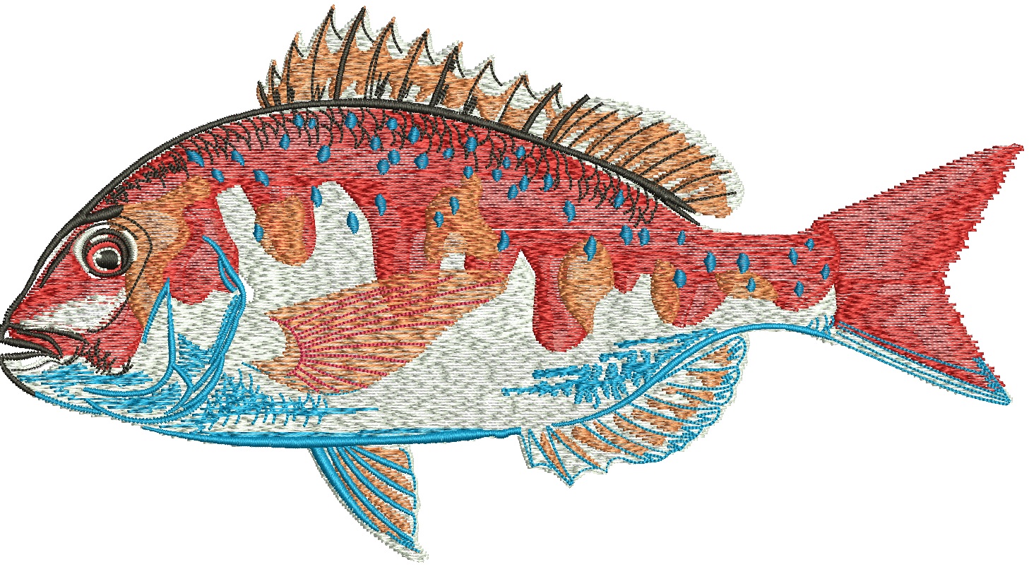 Red Sea Bream Fish Machine Embroidery Design 
